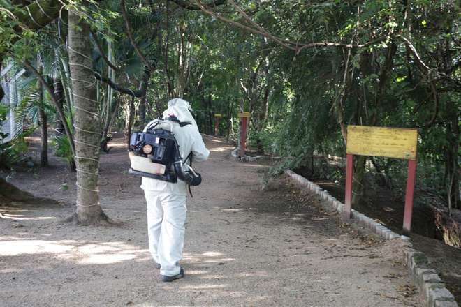 O Parque do Matão recebeu ontem nova ação de nebulização - SECOM VOTORANTIM