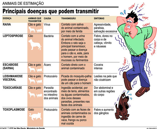 Animal doméstico passa doenças? Entenda 4 problemas transmitidos pelos pets  - 29/03/2019 - UOL VivaBem