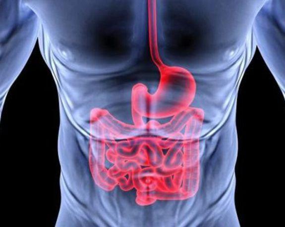 No Brasil, cerca de 12% da população sofre de doenças do tipo, decorrentes do retorno do conteúdo gastroduodenal para o esôfago - Divulgação