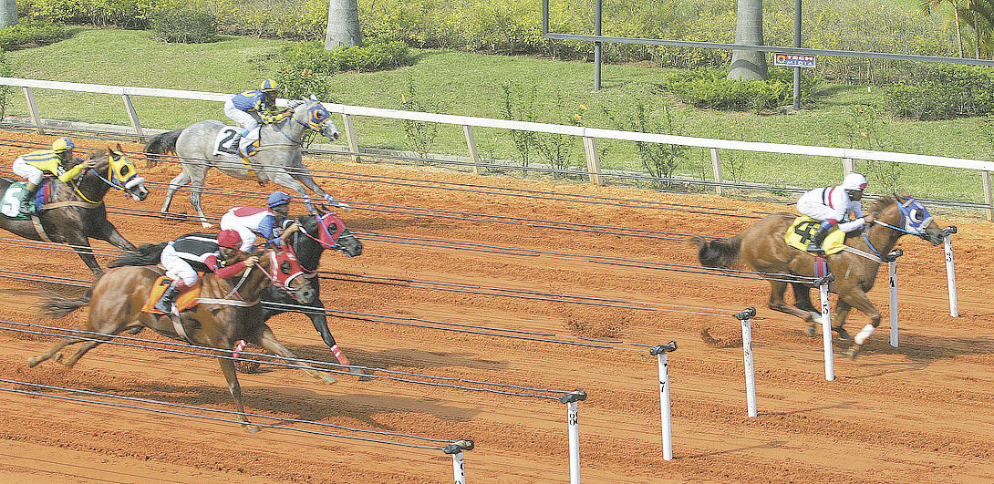 Jockey Clubs nos Estados Americanos: Uma Viagem Pelo Mundo das Corridas de  Cavalos 