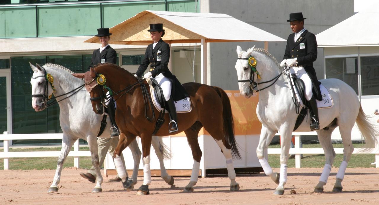 Cavalos são preparados por técnicos e especialistas para participação em eventos como os Jogos Panamericanos - Divulgação / Coudelaria Ilhaverde