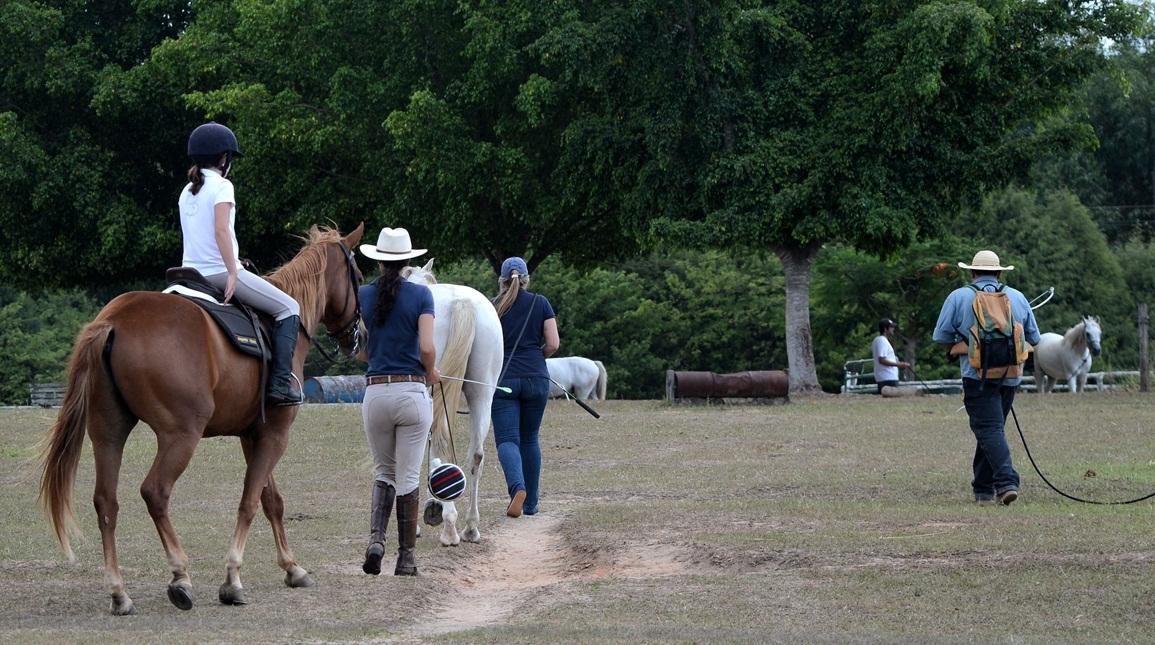 Centro de Treinamento Mundo do Cavalo