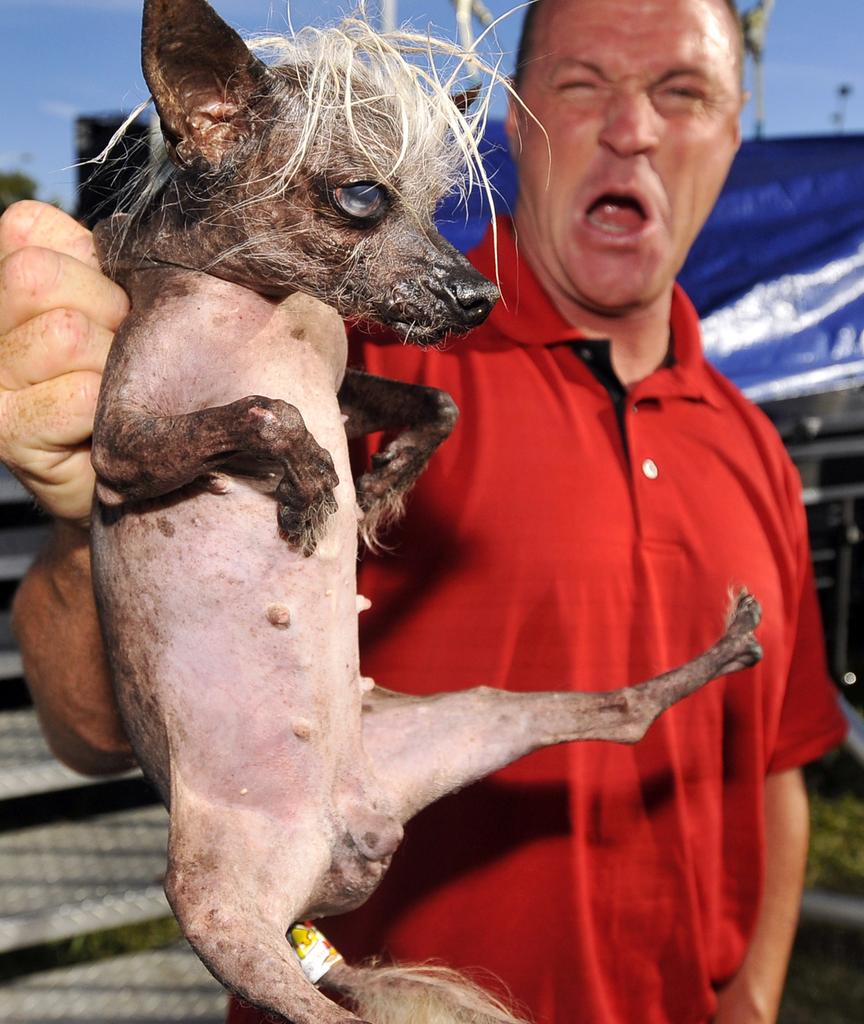 Concurso britânico elege os animais mais feios do mundo; veja lista