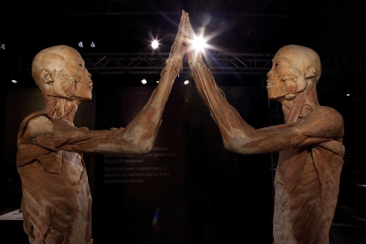 Os corpos não estão protegidos por nada. Os visitantes poderão observar todos os detalhes sem nenhuma vitrine