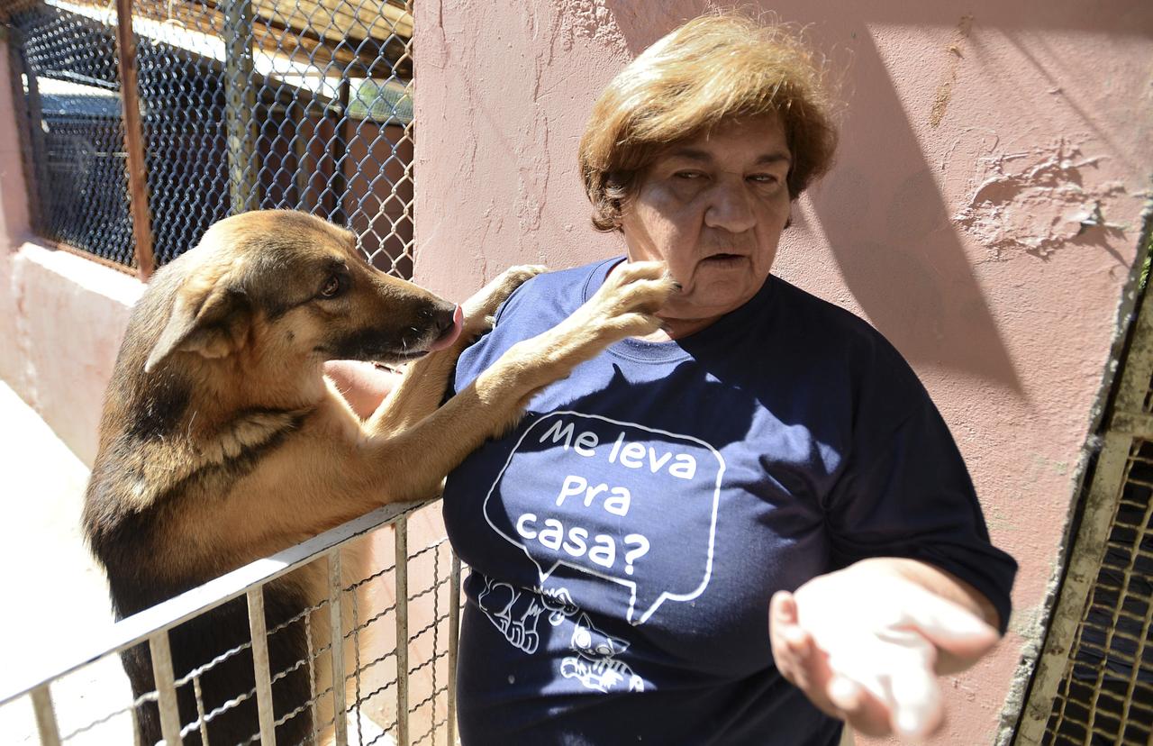 Dirma Leite diz que muitos animais são velhos e doentes  - ERICK PINHEIRO 