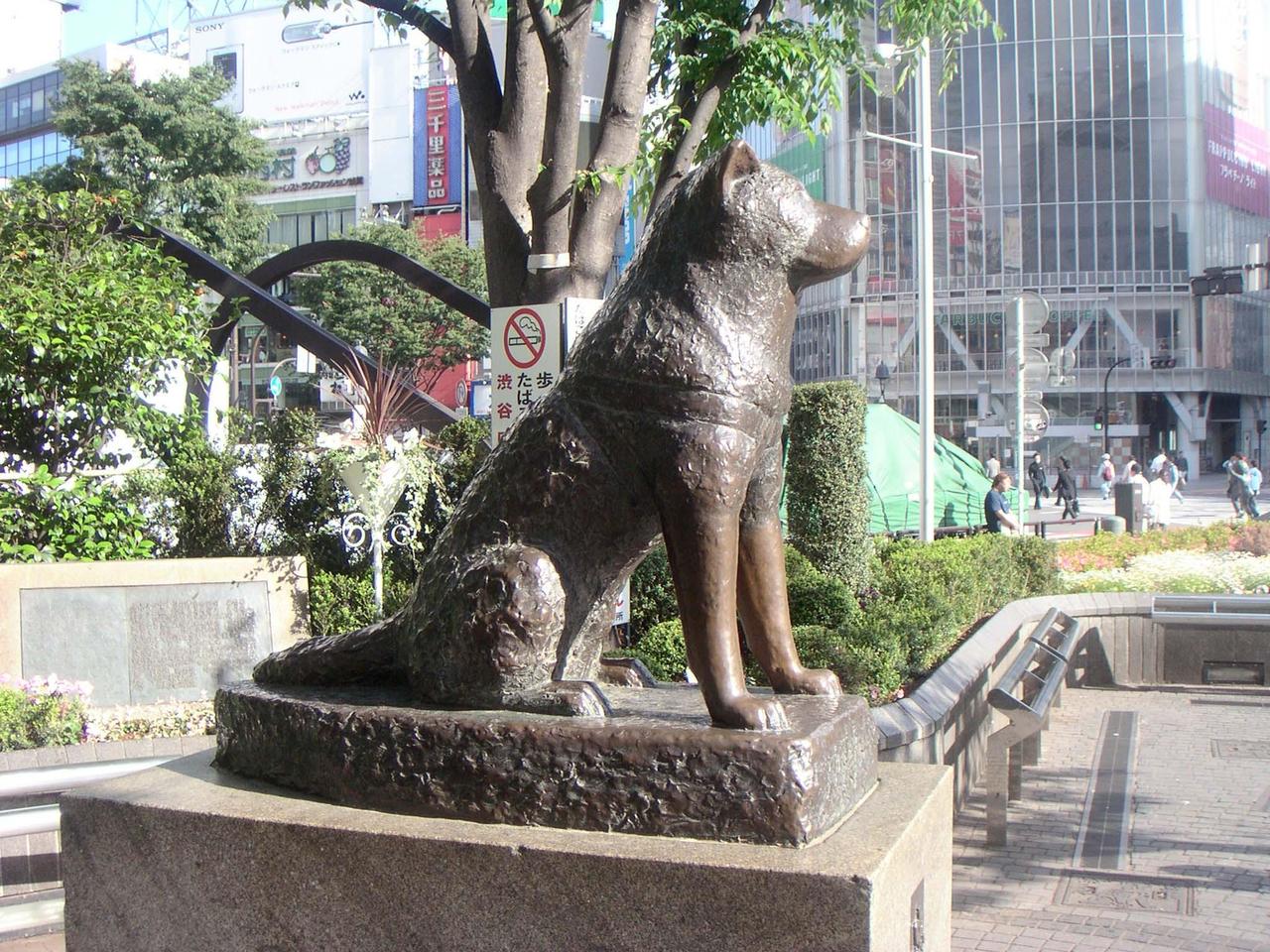 Uma estátua foi erguida em homenagem ao cão em Shibuya  - DIVULGAÇÃO 