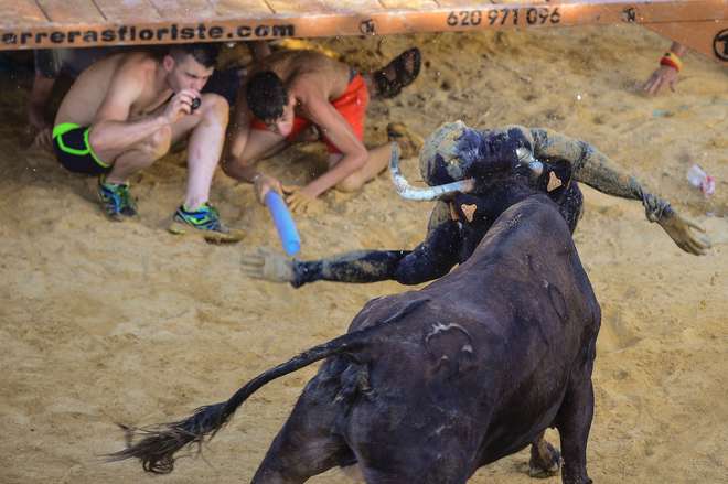 Morreu o homem ferido por um touro durante festival em Espanha - Mundo -  Correio da Manhã