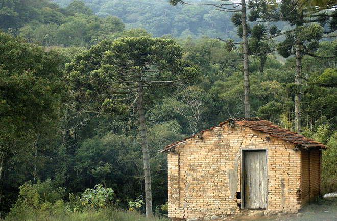 Cerca de 600 famílias vivem no Parque Estadual de Jurupará - BRUNO CECIM / ARQUIVO JCS