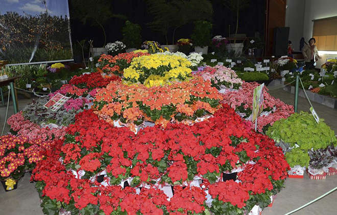 Festa é vitrine da produção agrícola piedadense, com cerca de 120 espécies, incluindo flores - REPRODUÇÃO: FACEBOOK